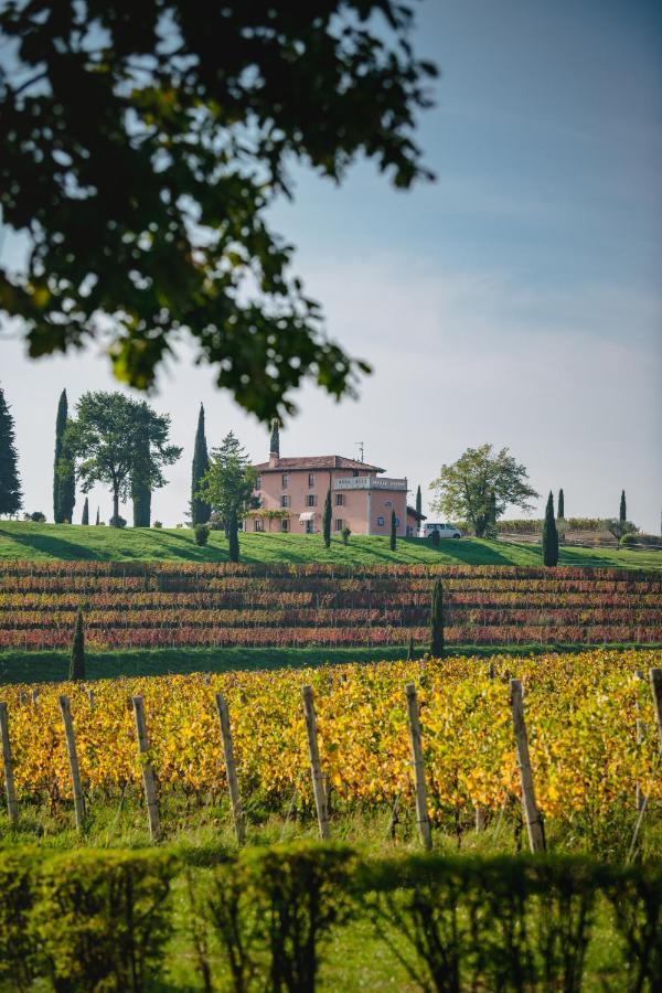 Maison d'hôtes Casale In Collina à Capriva del Friuli Extérieur photo