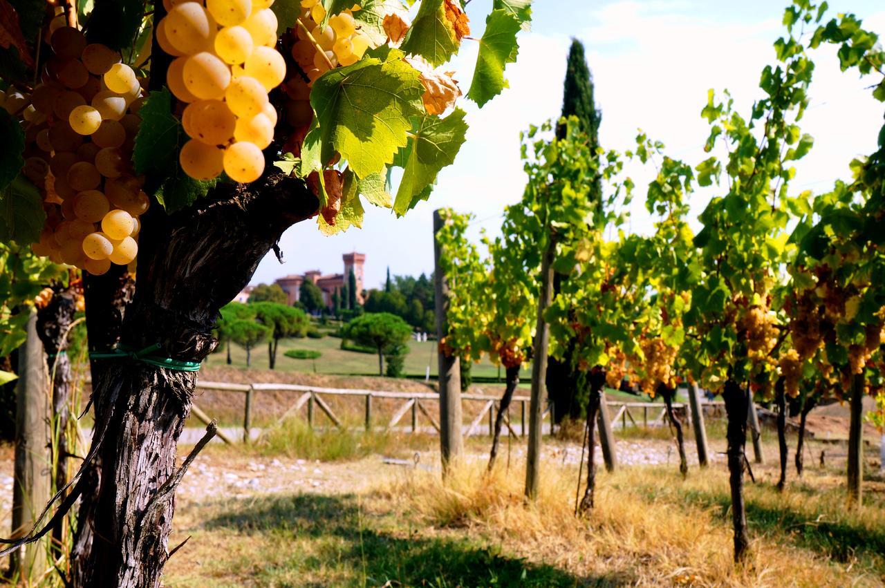 Maison d'hôtes Casale In Collina à Capriva del Friuli Extérieur photo